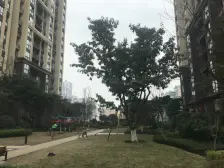 石坪桥 金悦熙城二房79万