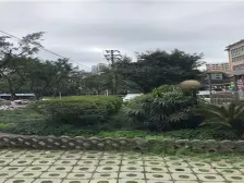 环线奥体站旁边 单价六千多的电梯房 商品房 出让地