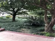 奥体轻轨环线站旁 小户型诚意出售