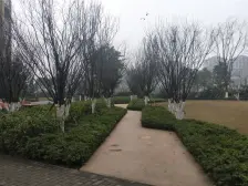 石桥铺 远洋香派二房60.8万