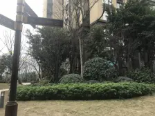 房屋干净整洁 标准2房 业主诚心出售