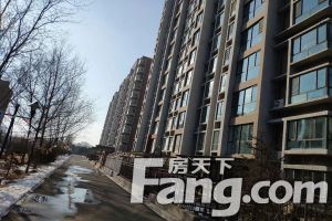 玉锦轩 一楼带小院 下跃复式 全天采光 房本满二