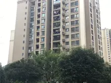 金科花园洋房,带花园,地下室,位置安静