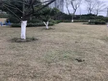 上城奥悦 1室1厅 南 北