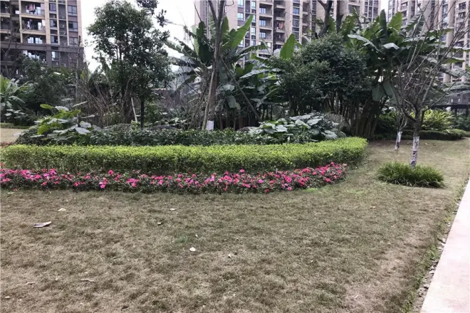 金辉城江城上实景图