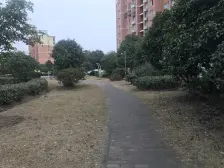 杨行 · 杨泰康苑 · 3室 · 2厅