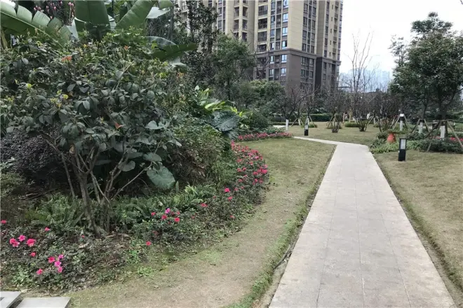 金辉城江城上实景图