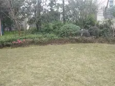 融汇半岛水晶公馆 3室2厅 东南