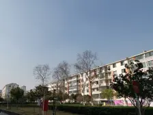 地贴50米,低楼层更方便,小区人车分流,带公园,近双子塔