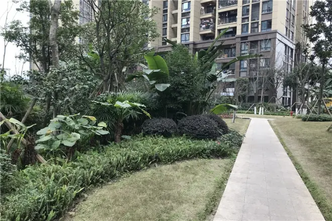 金辉城江城上实景图