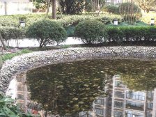 徐家汇顶奢,2015年人车分流,成熟地段,配套好