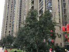 融侨公园旁 花样派 精装修三房