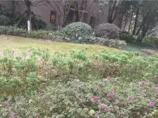 融汇半岛+水晶公馆+精装修+拎包入住+诚心出售