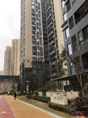 万科金域名邸一期 3室1厅 南