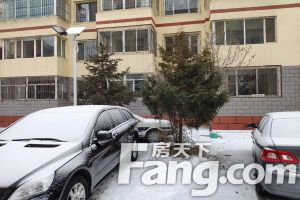 邮电小区(兴安南路) 2室1厅 南