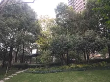 新上房源|紧俏复式|1楼复2楼|采光通透|