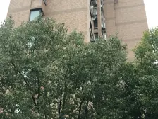 楼层好 视野宽阔 采光充足 户型方正 小区环境好