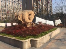 此房 税费低 简装修,南北通 ,大客厅大房间 小高层