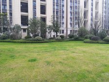 中骏柏景湾4室南朝向2400.00万元/套出售