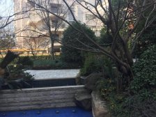 4开间朝南,3+1套房设计,南北通透,2个车位