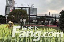 一梯一户,全体采光,四开间朝南