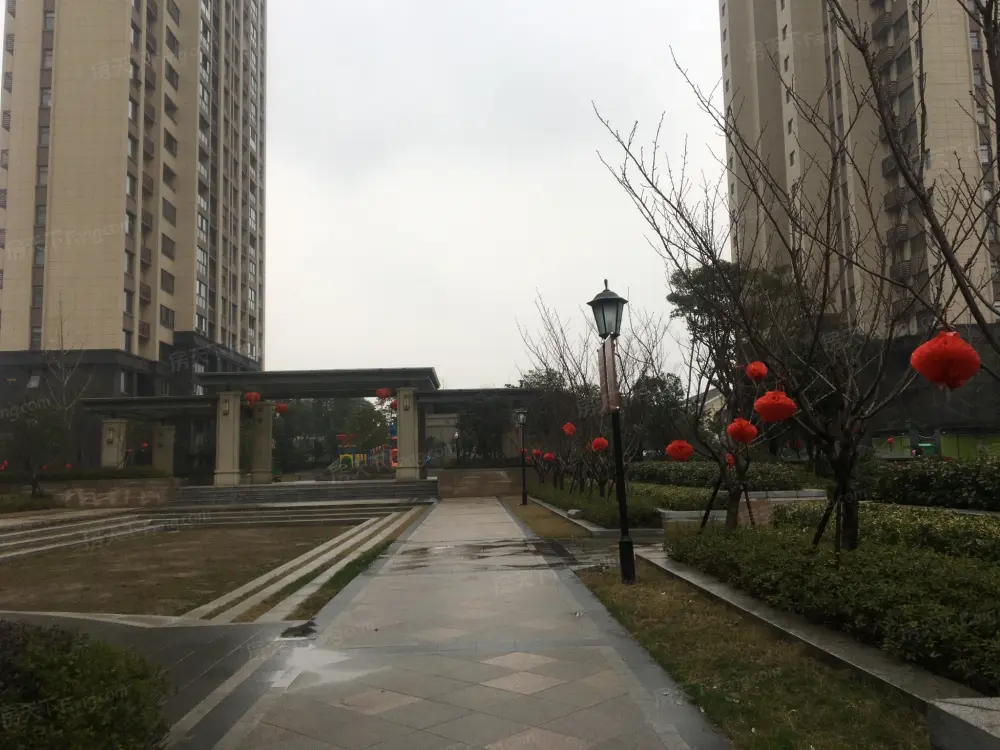 实景图