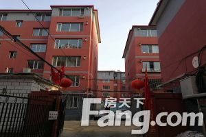 落凤街好房出售 四室 一楼带二楼 带小院 带车库