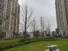 中骏柏景湾 3室1厅 南