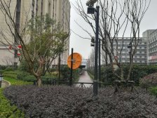 中骏 带2层地下室 精装修中央空调 地暖