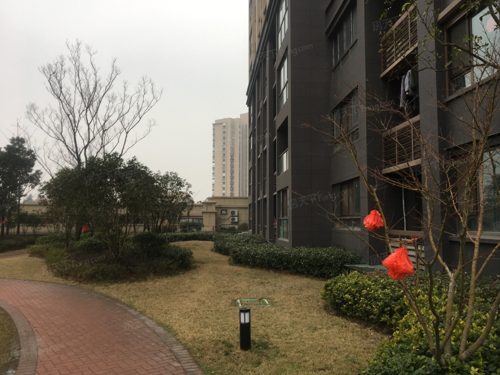 实景图
