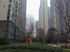 (全屋 装修,前排无遮挡)万达旁10号线,央企保利物业