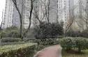 仁恒江湾城一期实景图