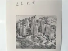 精装修!小三房!东南向!格局方正!楼层好!采光好!