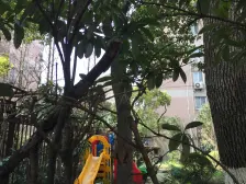 此房满五唯①,2梯6户双南全明,得房率髙,看房方便!