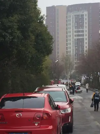 大华锦绣华城爱美颂实景图