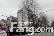 公园一村 带车库 精装修 房子保养好