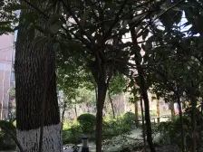 电梯房,南北全明,采光好厨卫明窗,看房方便