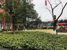 高新区 科学城 我家在公园里 小高层近地铁