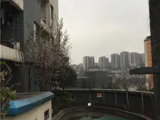 志龙鸿馆 1室1厅 南