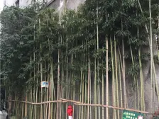 观音桥 志龙花园大厦一房56万