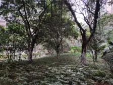 弹子石 国际社区观邸二房98万