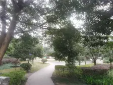 真正轻轨房 精装大两房双卫带入户小院 证在手