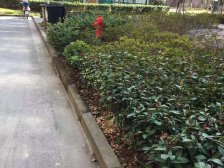 人车分流 2梯4户,现场实勘,产权清晰,必看好房