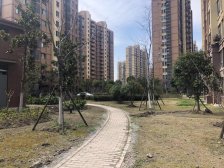 刚需上车 无抵押 电梯房,新上房源