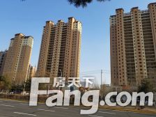 世茂都柏林双拼别墅 无大税 精装位置好