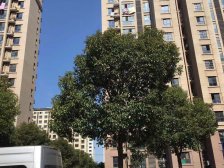 无抵押,精装,刚需上车,新上房源