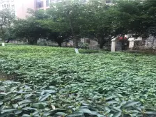 山千院东苑 3室2厅 东 北