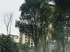 清水一室一厅 住宅住宅住宅不是公寓