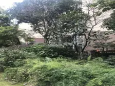 莫愁前路无知己 天下谁人不识君 精装复式 诚心卖