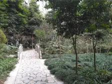 急观音桥天街旁 精装大两房 户型方正 住家安静 拎包住